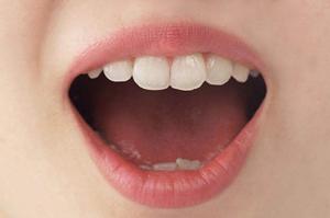 フルボ酸がもたらす健康効果とは？食品選びで家族の栄養をサポートする方法